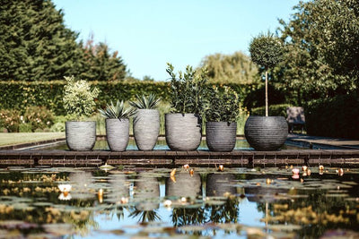 Plant Pots with a difference!