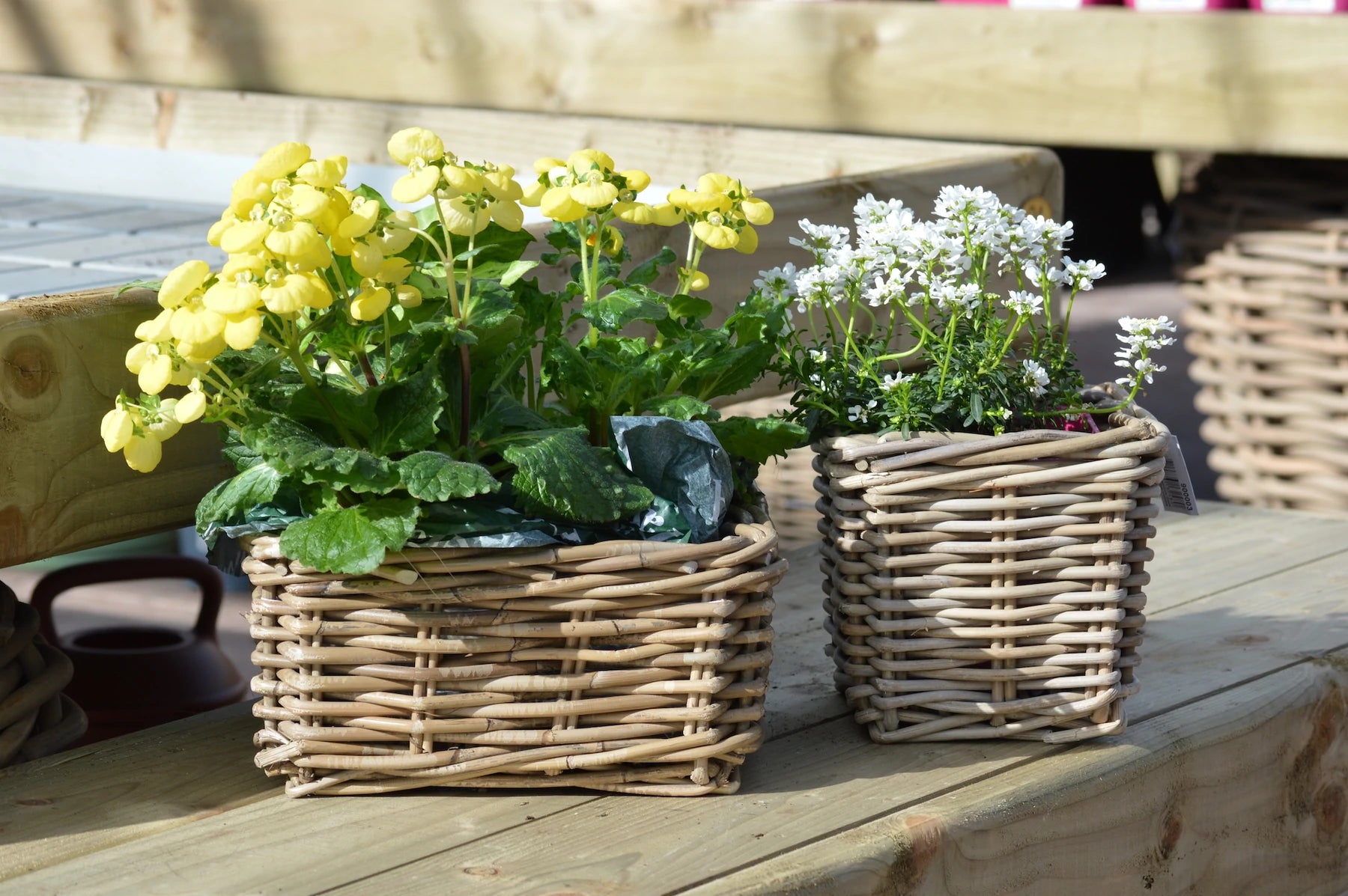 Wicker Pots