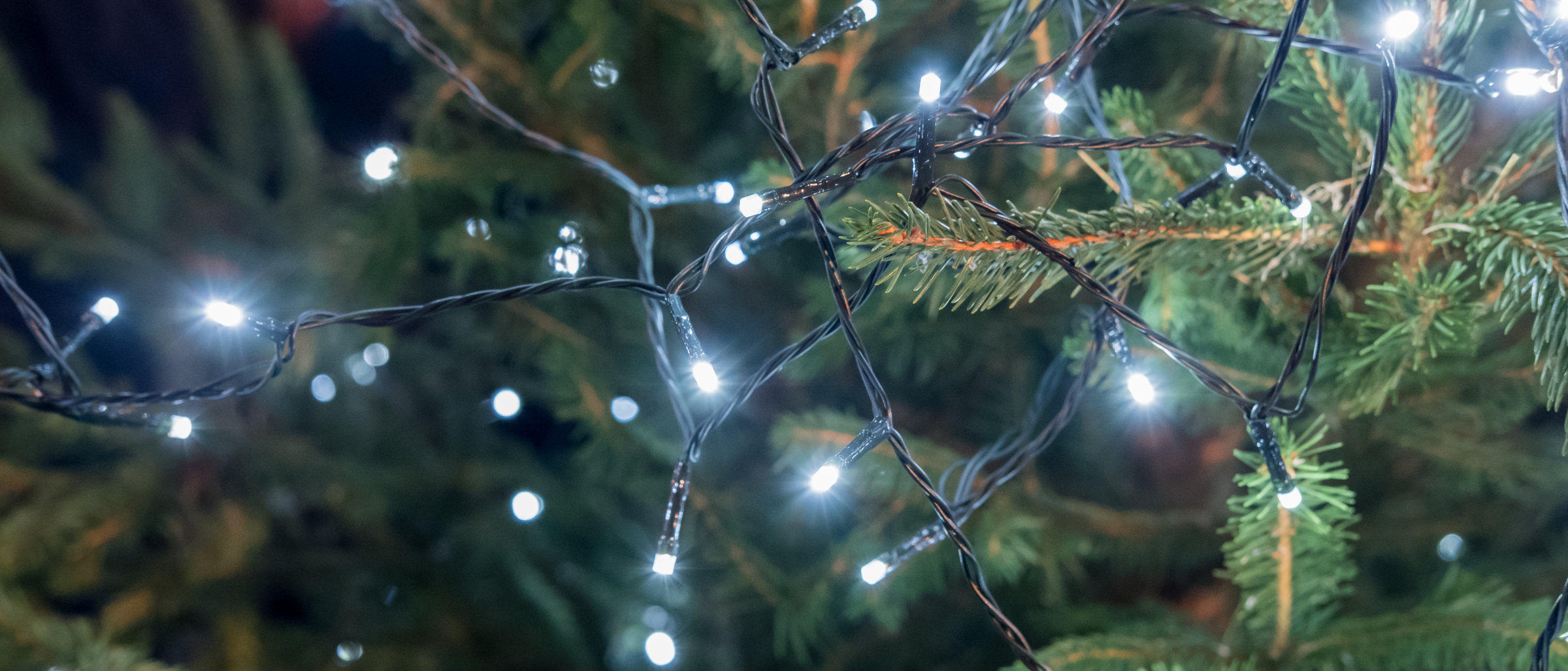 Energy Saving Lights