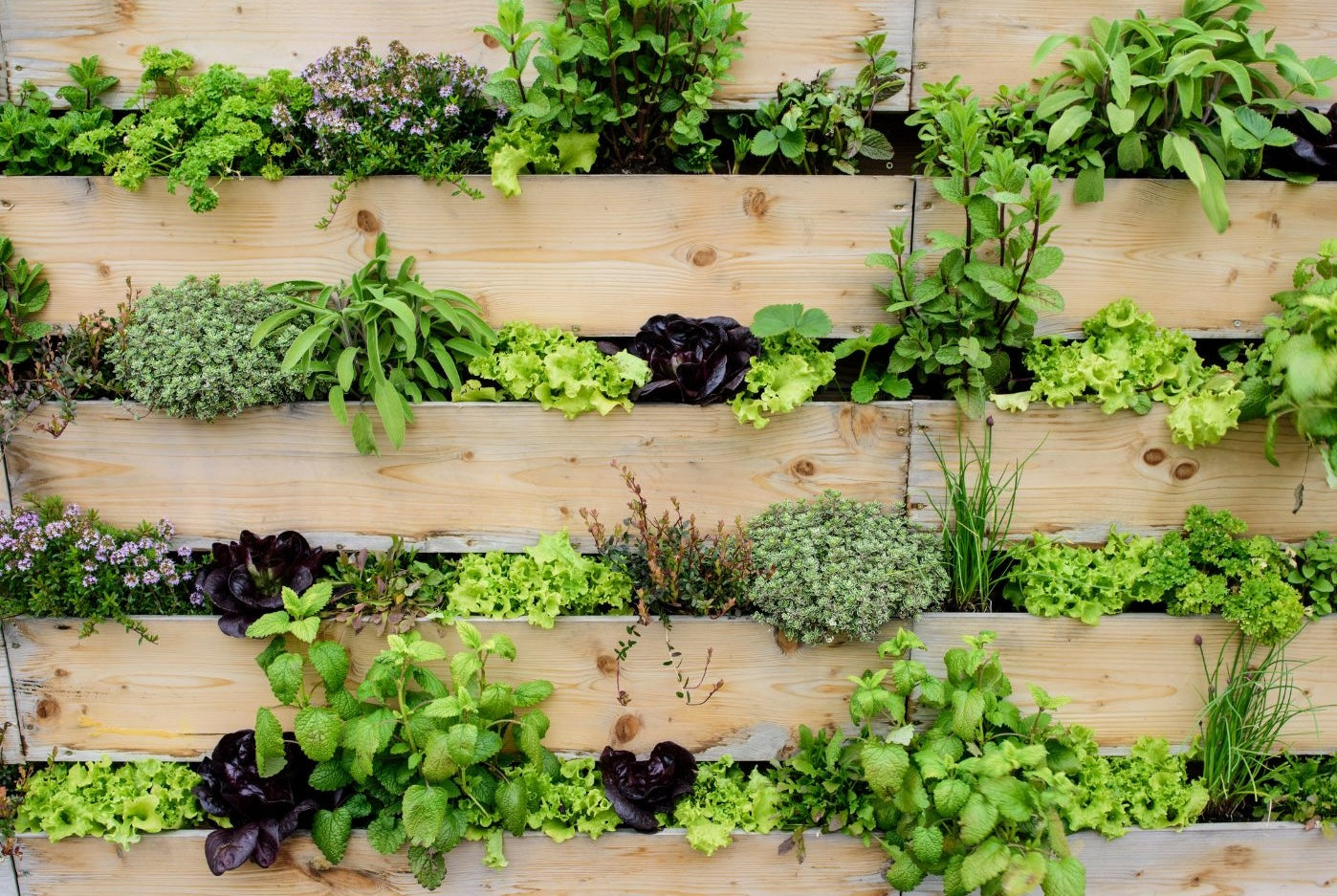 How to create an edible garden