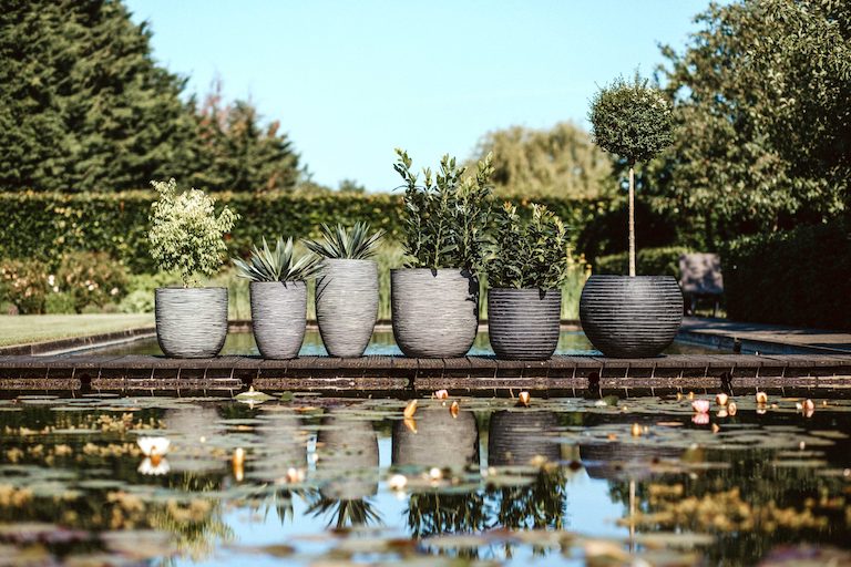 Plant pots, capi plant pots, flower pots