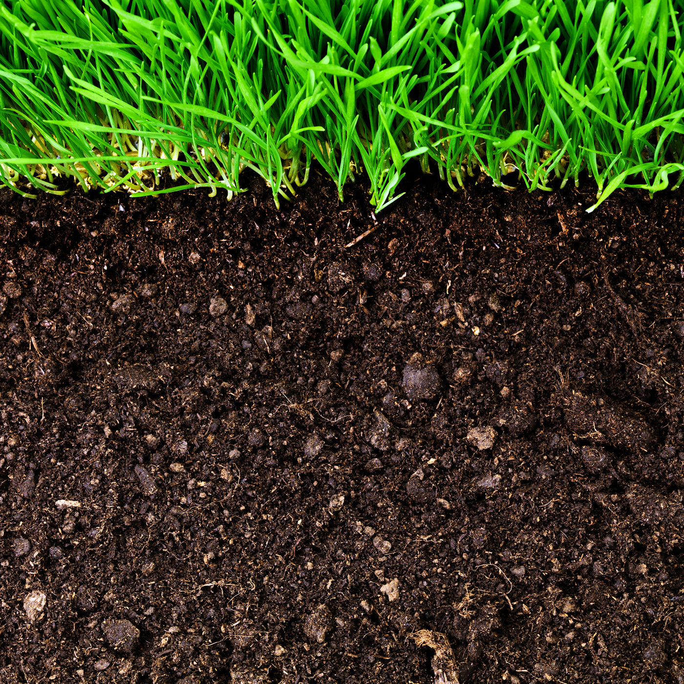 alternative to top soil, soil improver