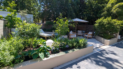 Mallow Festival - The Cloud Garden