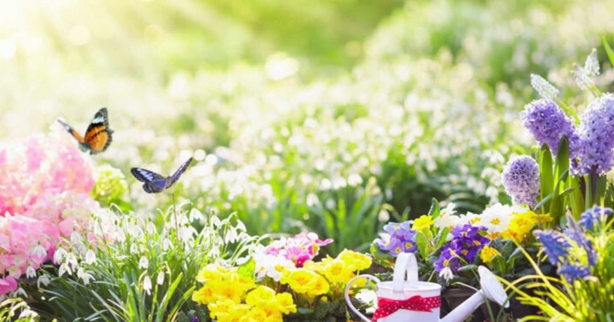 biodiversity in your garden