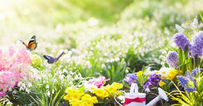 Contributing to biodiversity in your garden