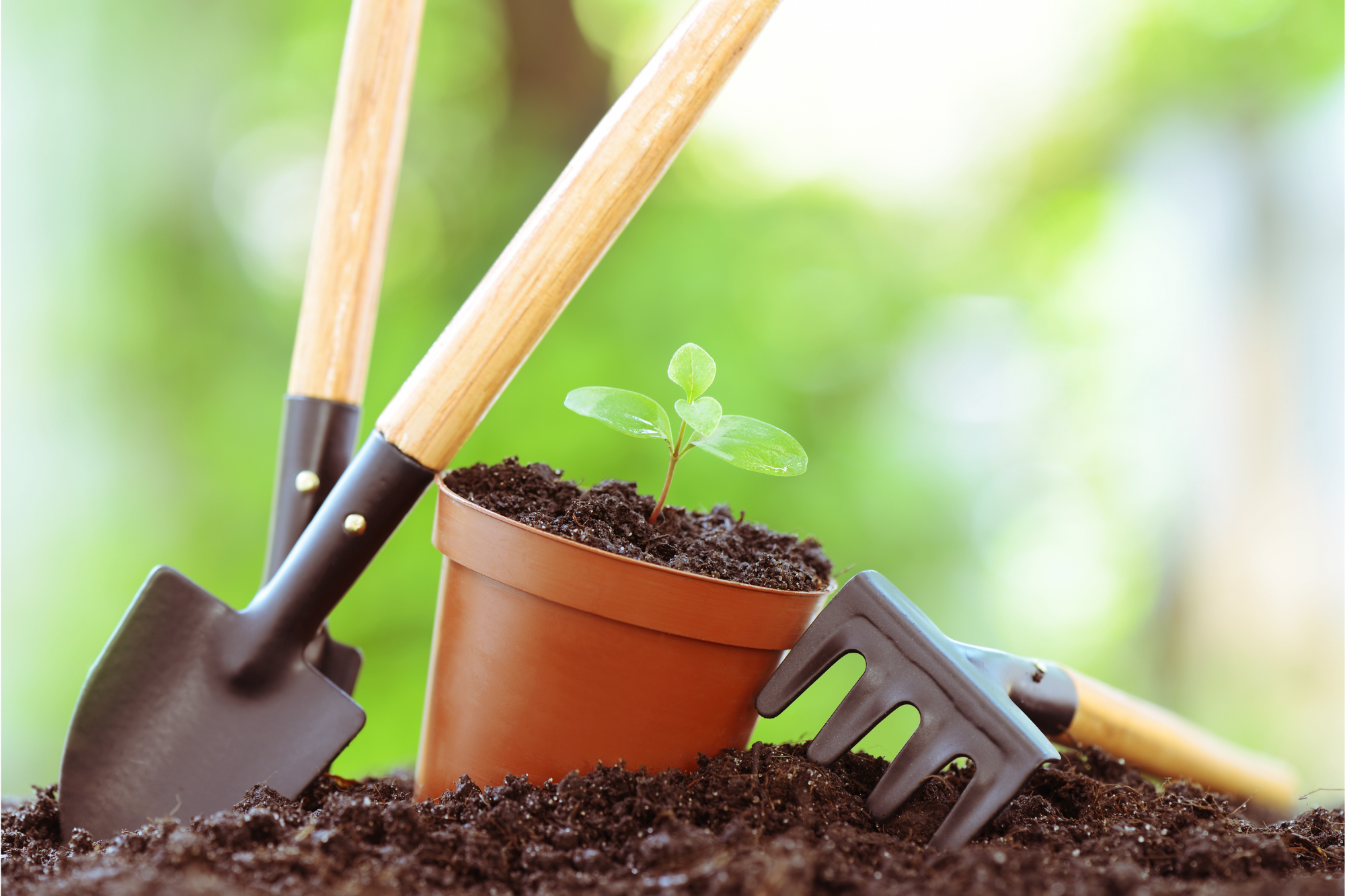 Garden GIfts