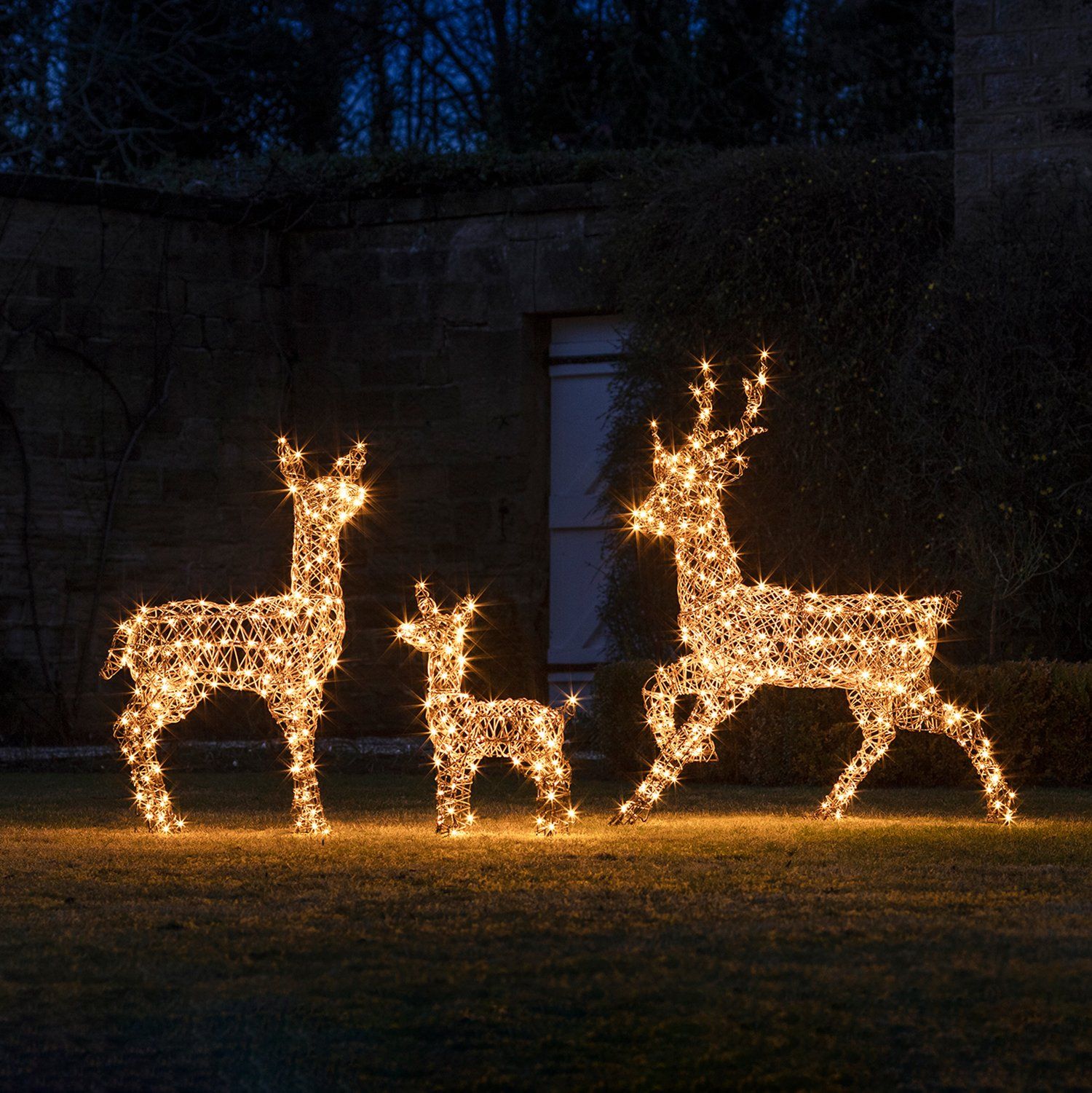 Christmas Outdoor Lighting