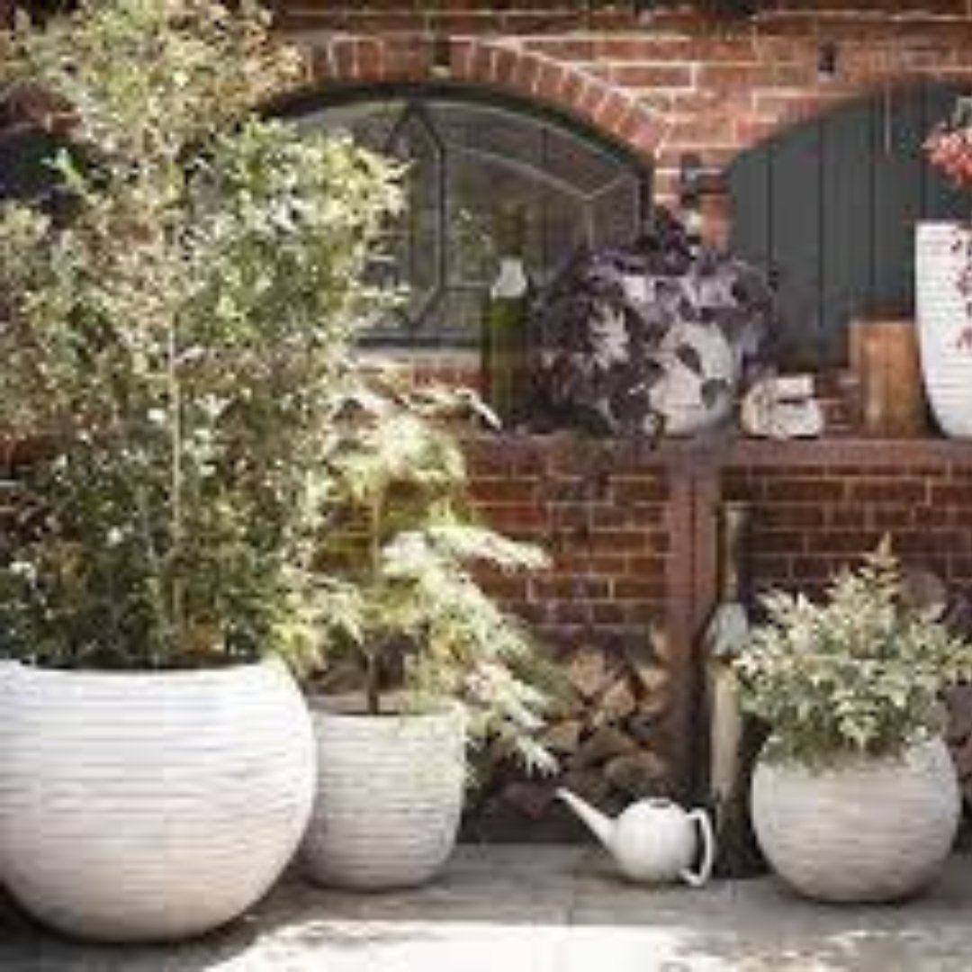 Indoor and Outdoor Pots at the Pavilion garden Centre