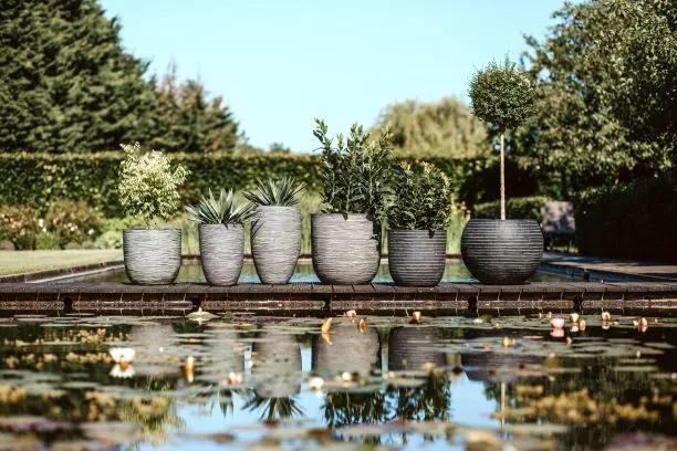 Capi Pots