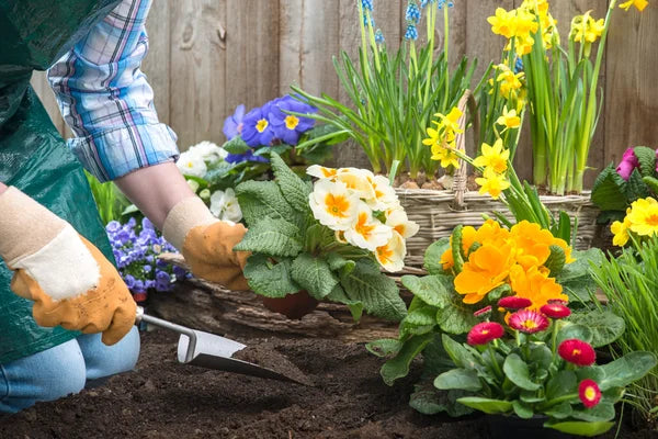 Spring Planting