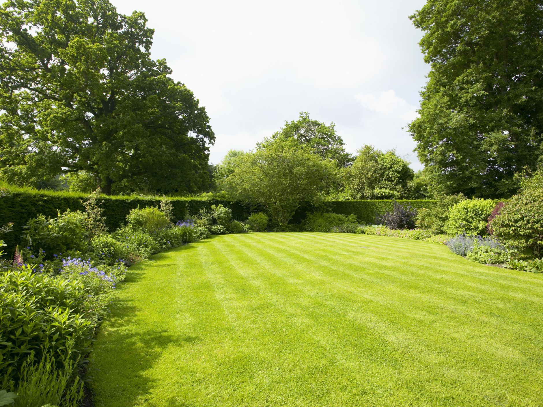 Lawn Care