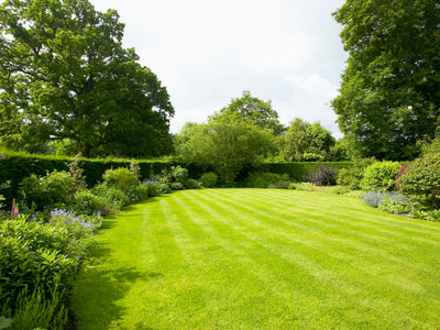Lawn Care