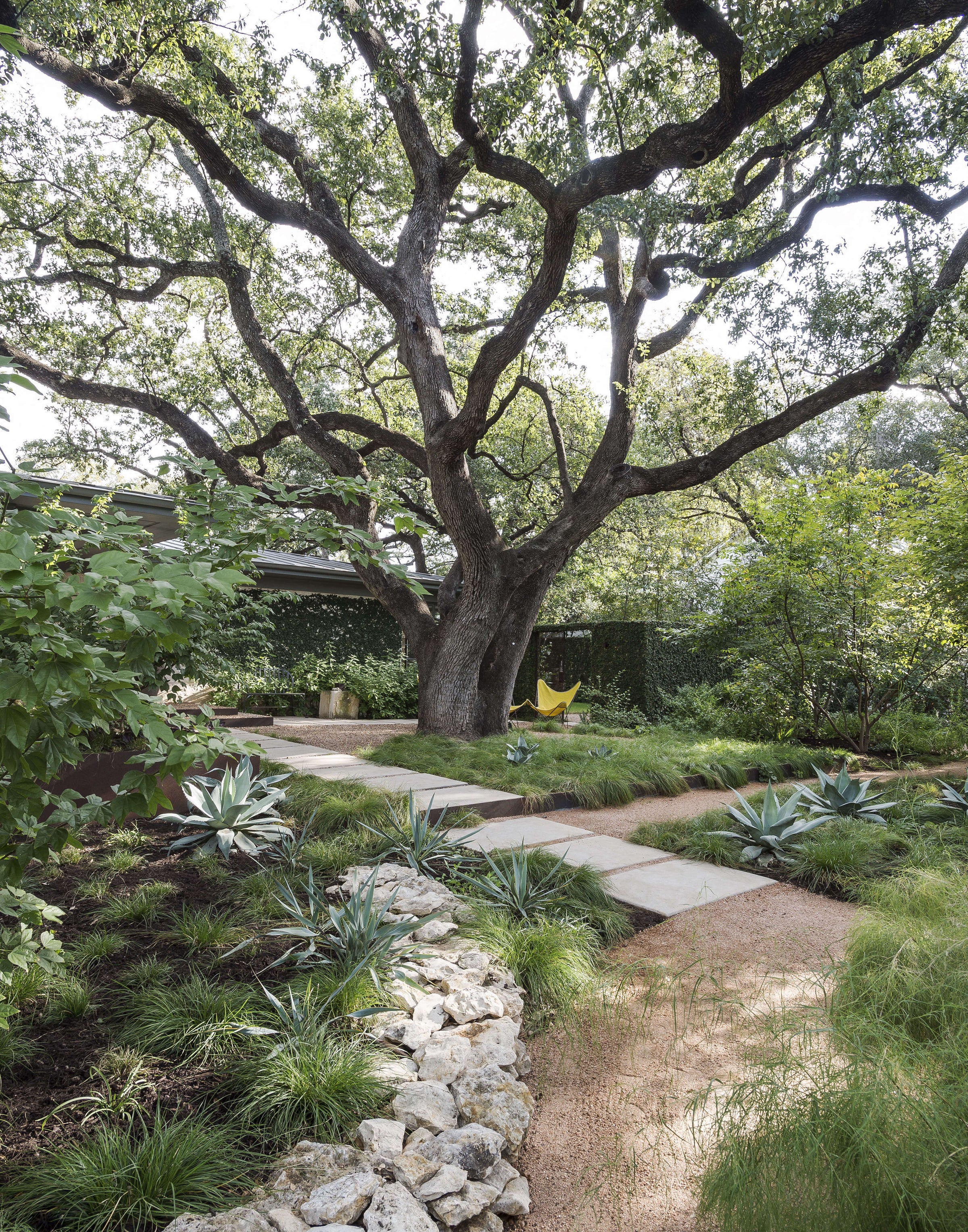 Specimen Plants