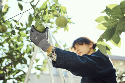 Niwaki Gardening Gloves 10 Extra large