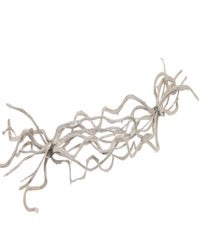 Bundle Crazy Vine 10 Pcs L60