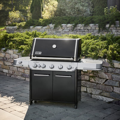 Summit FS38 Enamel Edition Gas Barbecue