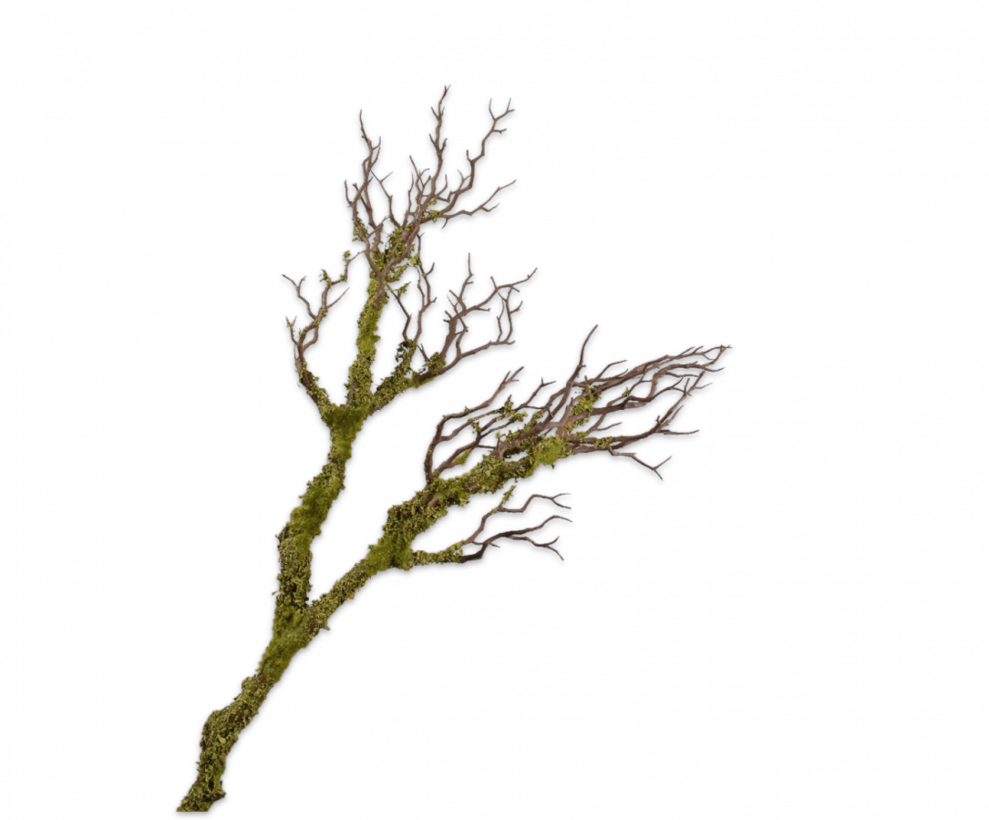 Twig with Moss Green 97cm
