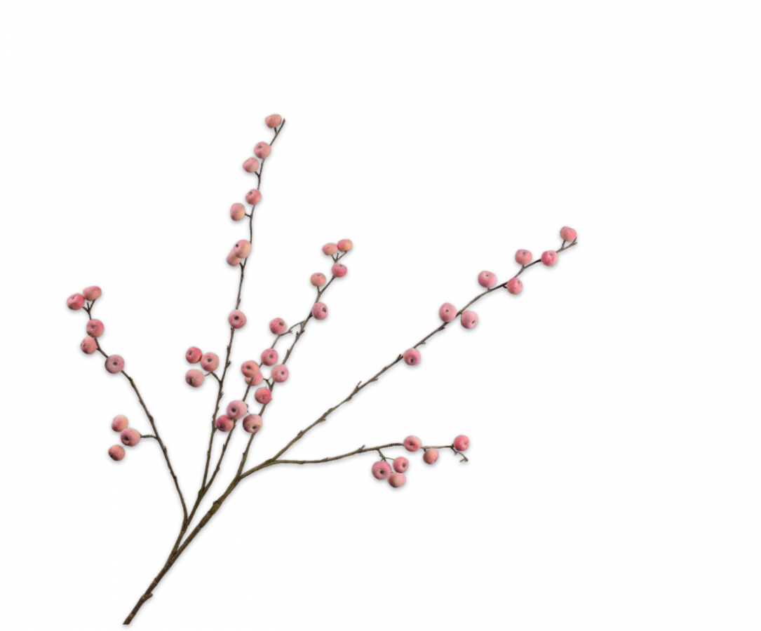 Apple Spray Pink 123cm