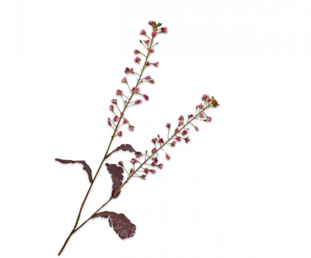 Primula Spray Pink 85cm