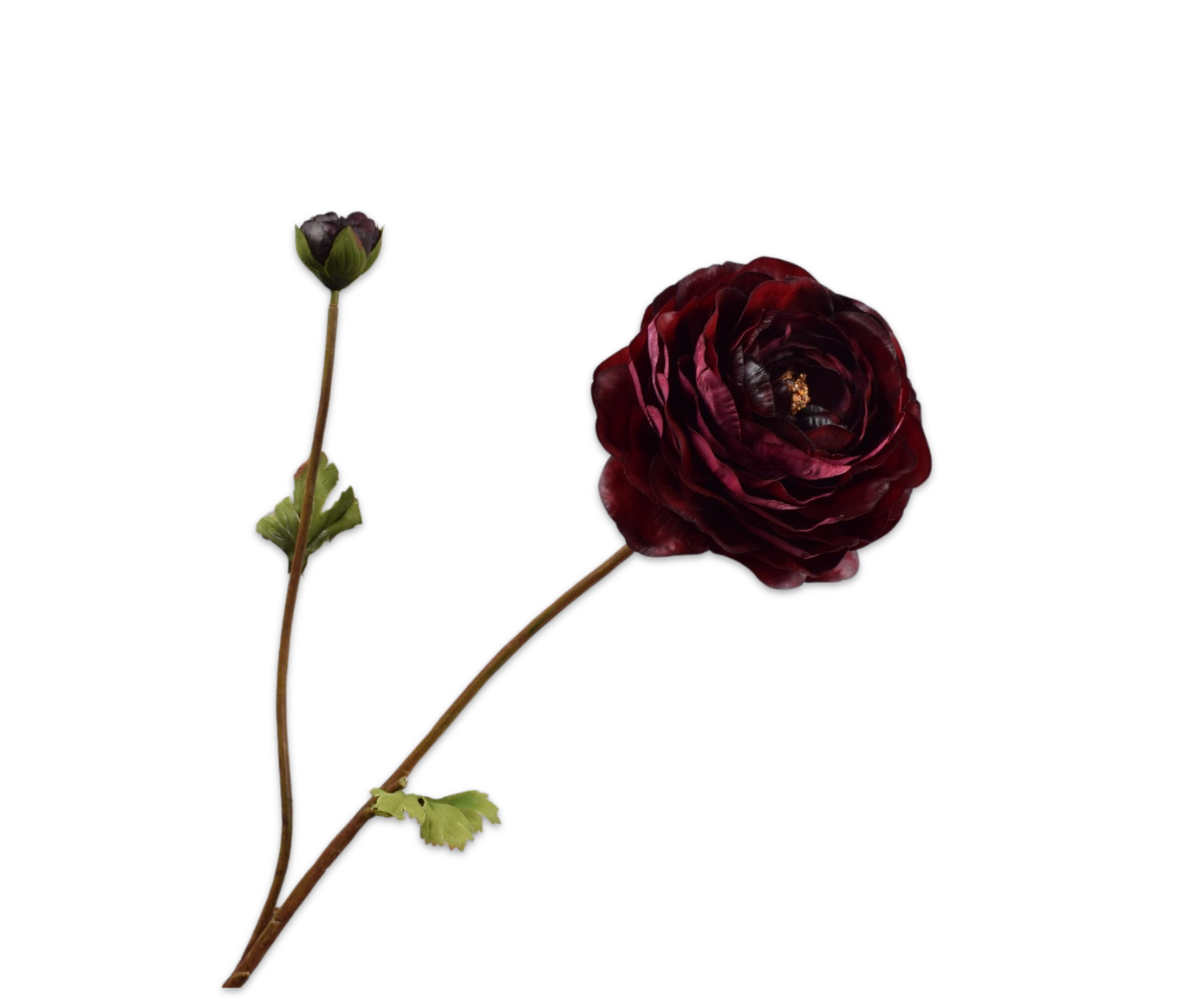 Ranunculus Spray Burgundy 65cm
