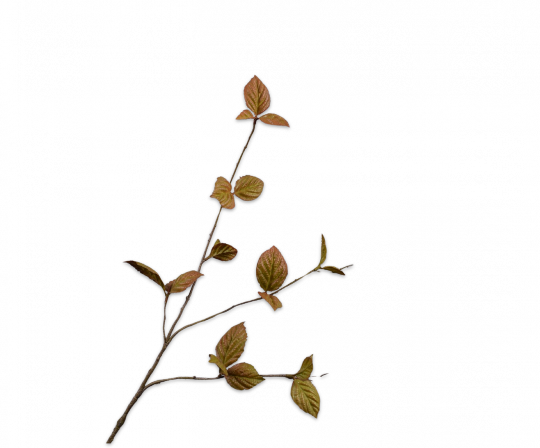 Leaf Spray Light Brown 85cm