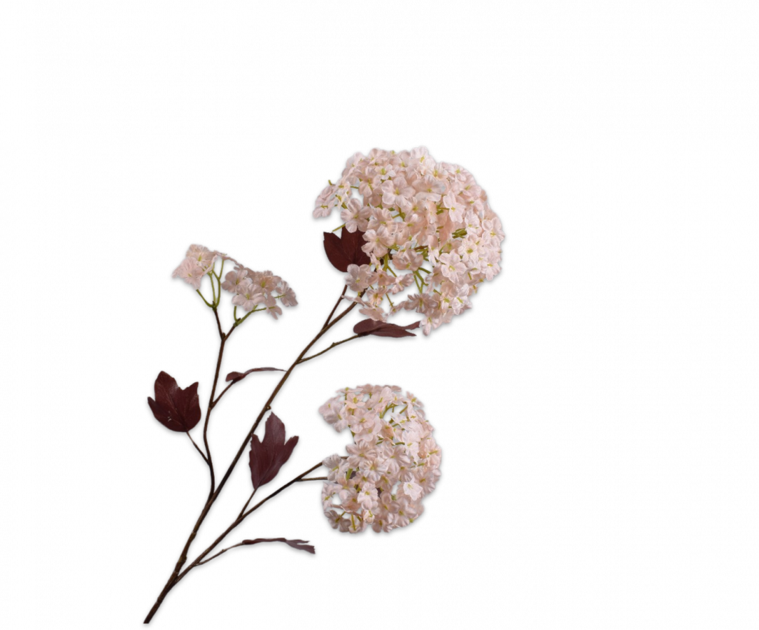Snowball Spray Peach 69cm