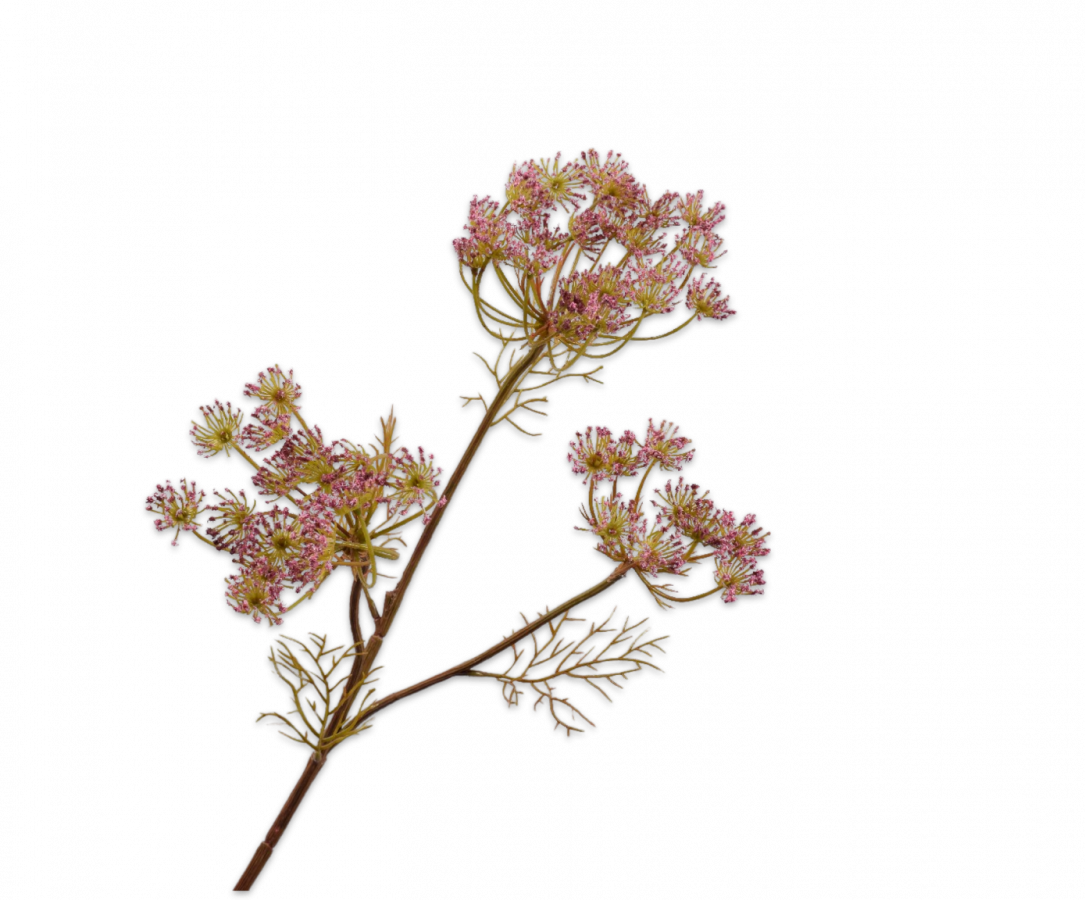 Queen An Lace Spray Lavender 82cm