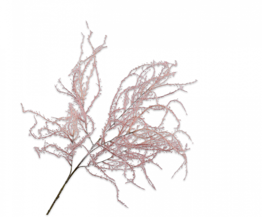 Willow Branche Pink 104cm