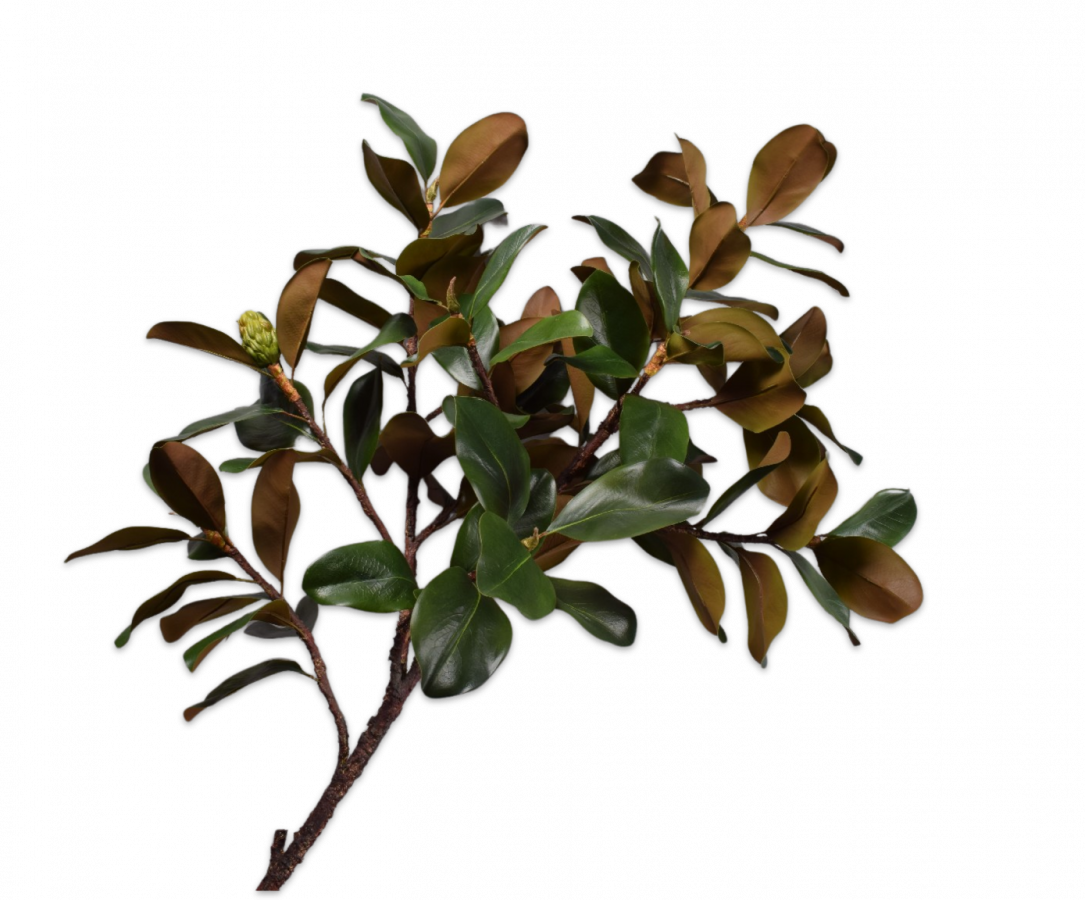 Magnolia Spray Green/Mauve 152cm