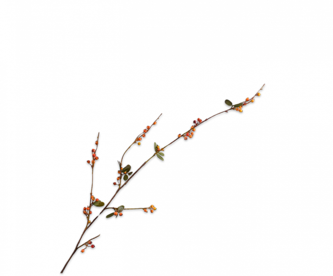 Berry Spray Orange/Red 124cm