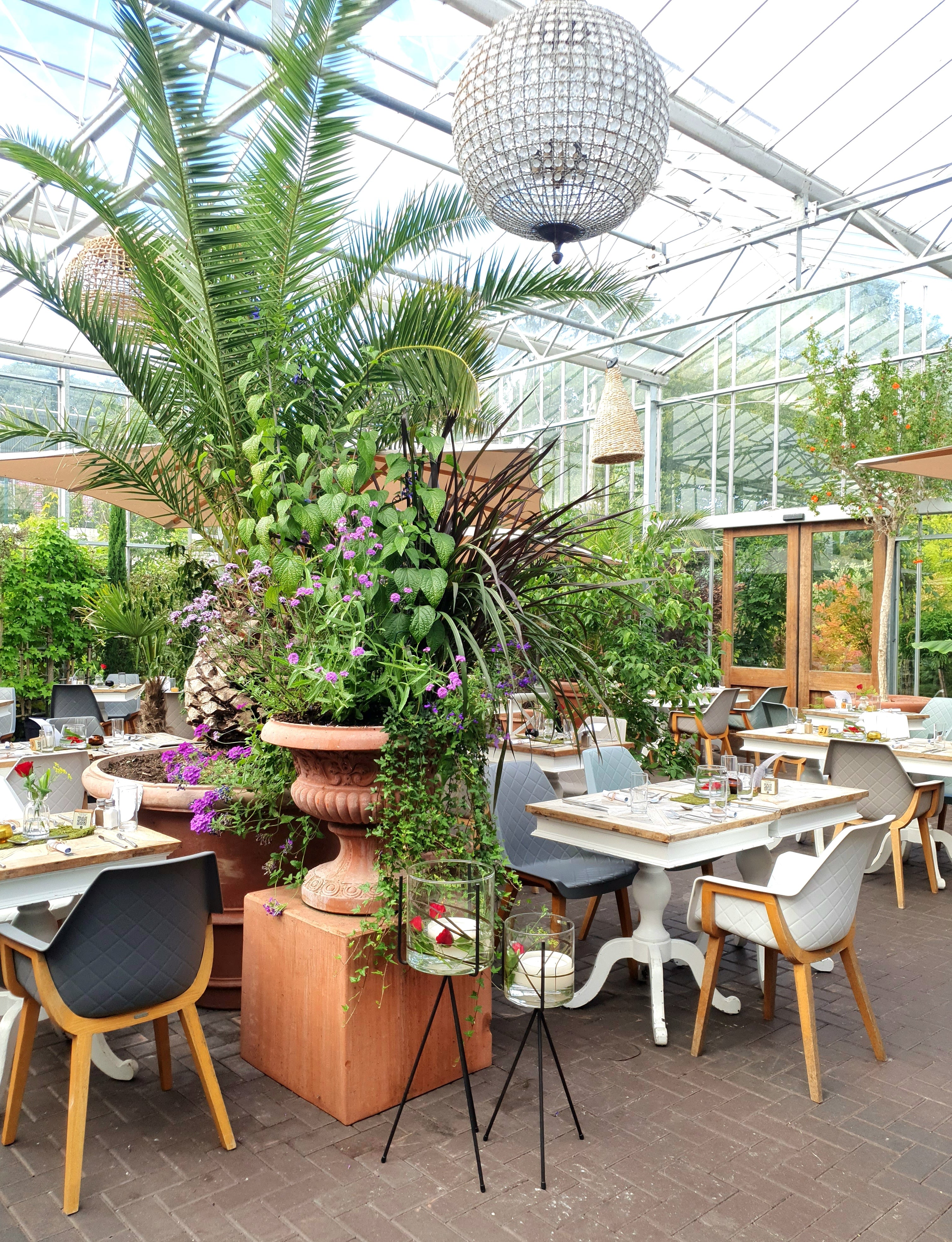 An Evening of Tapas, Fire & Flavour - Friday 29th May – The Pavilion