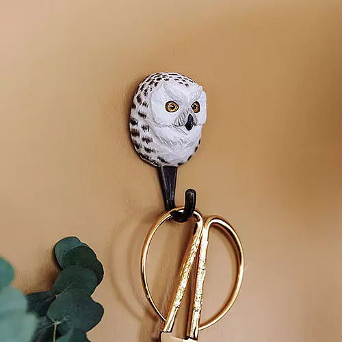 Hook Snowy Owl