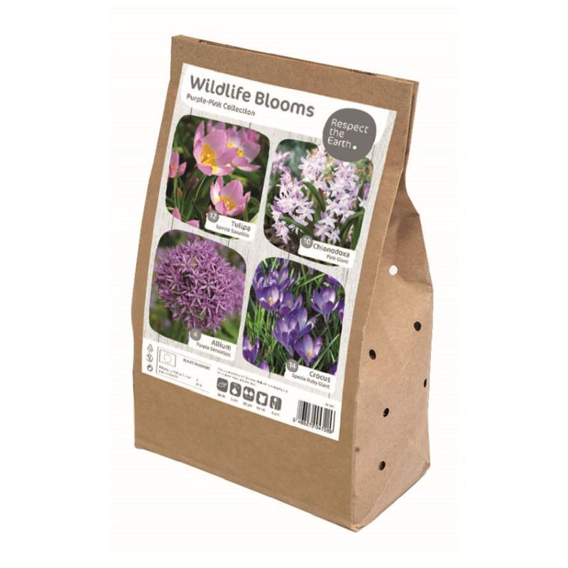 Wildlife Purple-Pink Collection