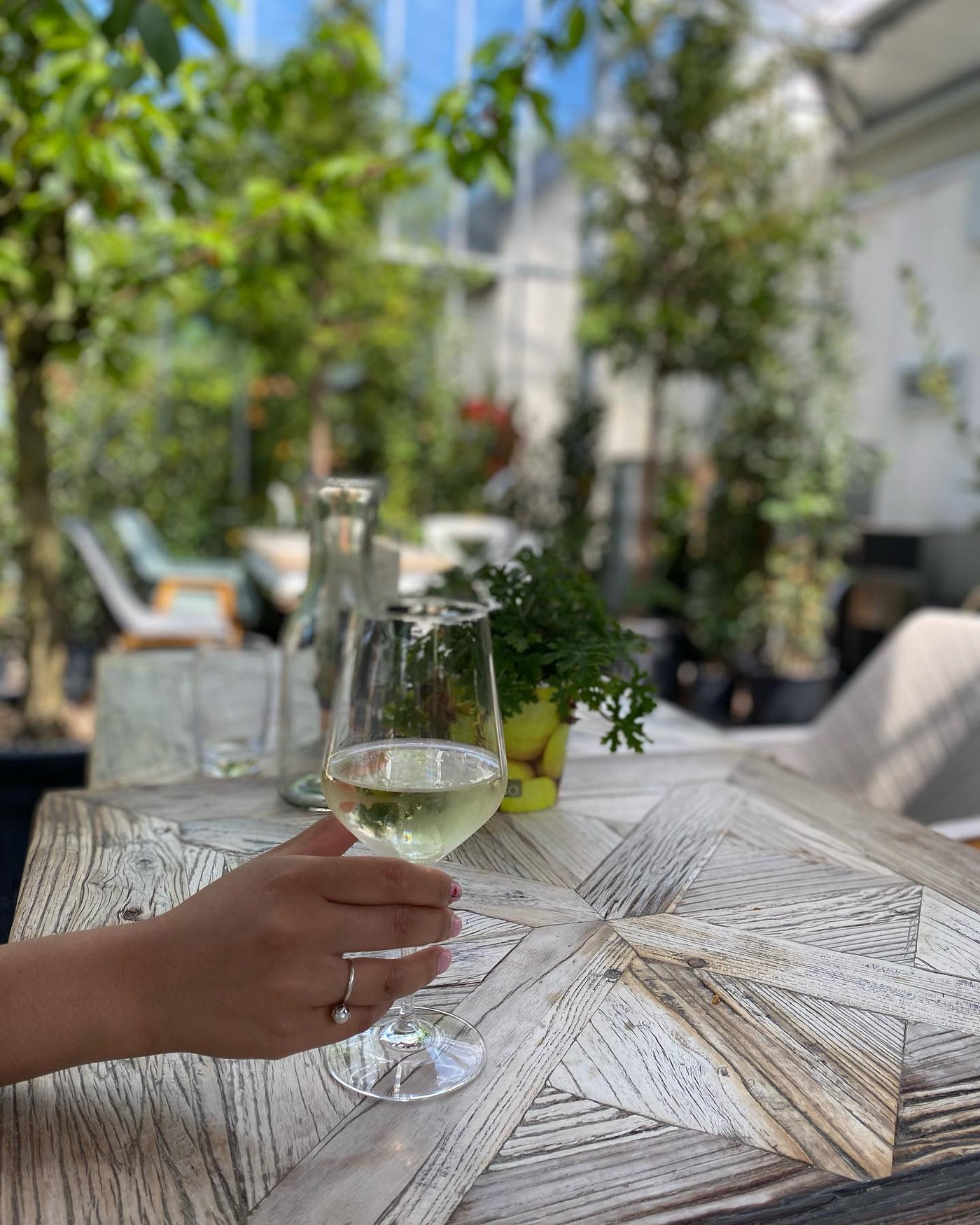 Long Table Dinner at The Glasshouse Restaurant