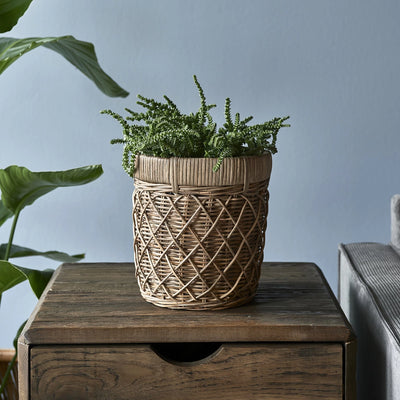 RR Diamond Weave Planter S (RM)