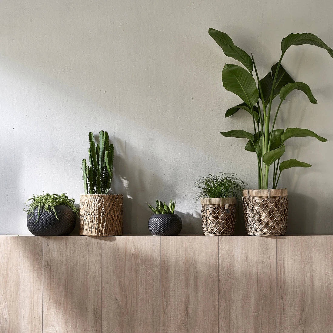 RR Diamond Weave Planter S (RM)