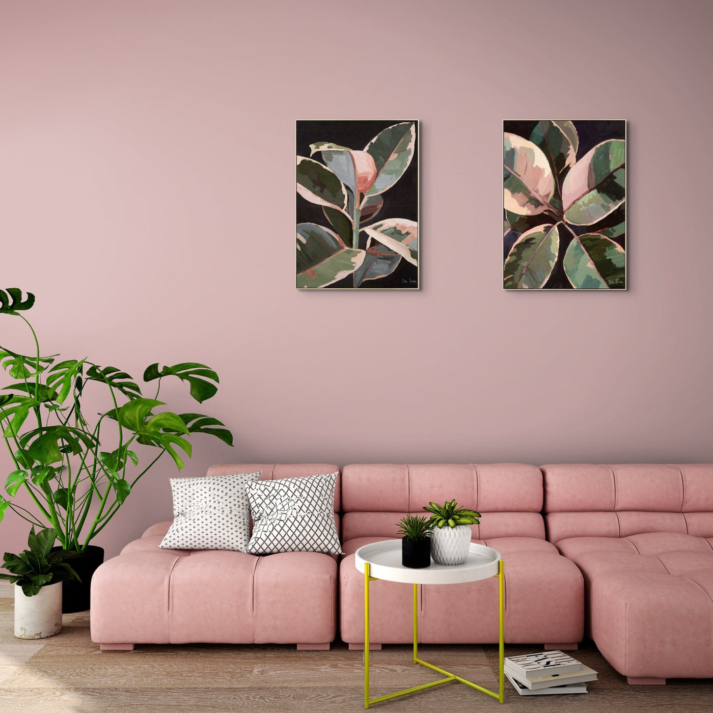Ficus