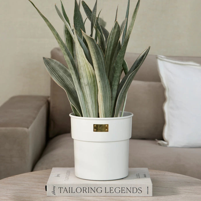 City Loft Flower Pot white S (RM)
