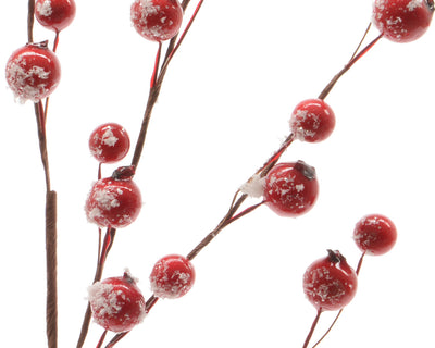 Berry Spray with Snow Finish- Red