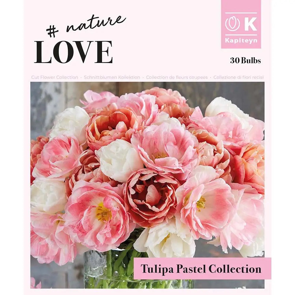 Bouquet Double Pastel Tulipa Coll