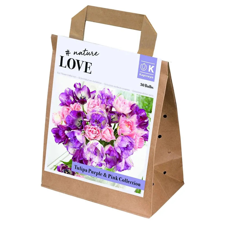 Bouquet Purple&Pink Tulipa Coll