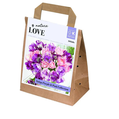 Bouquet Purple&Pink Tulipa Coll