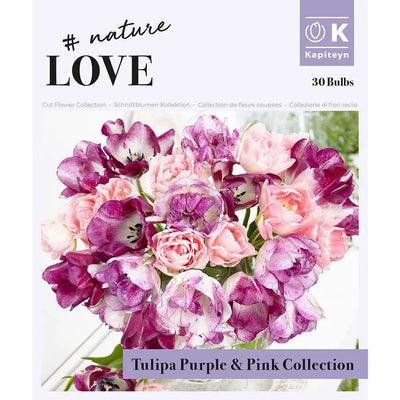 Bouquet Purple&Pink Tulipa Coll