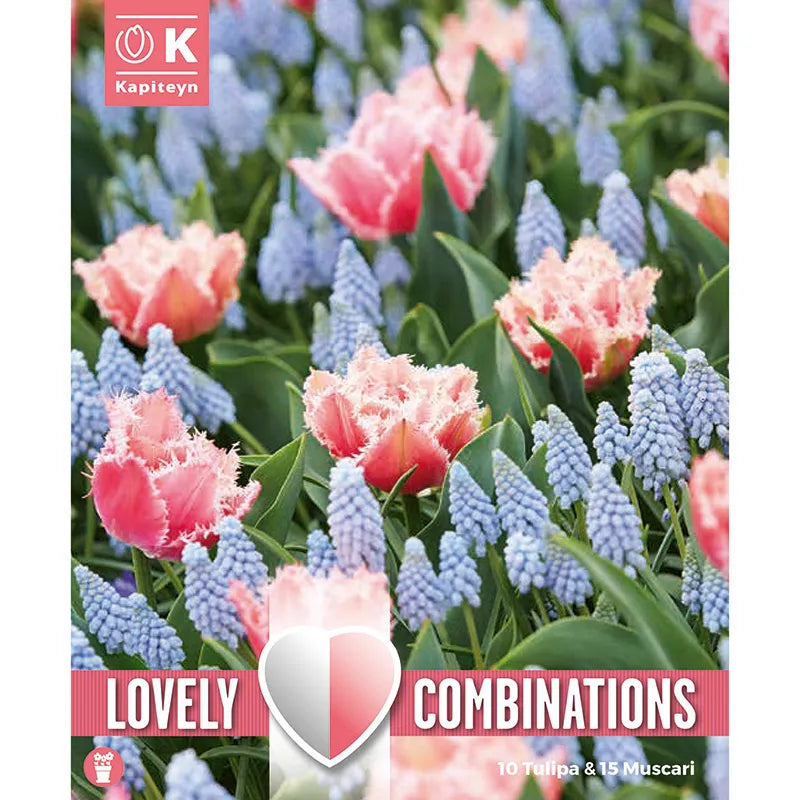 Combi Tul Rose Red&Muscari Pale Blue