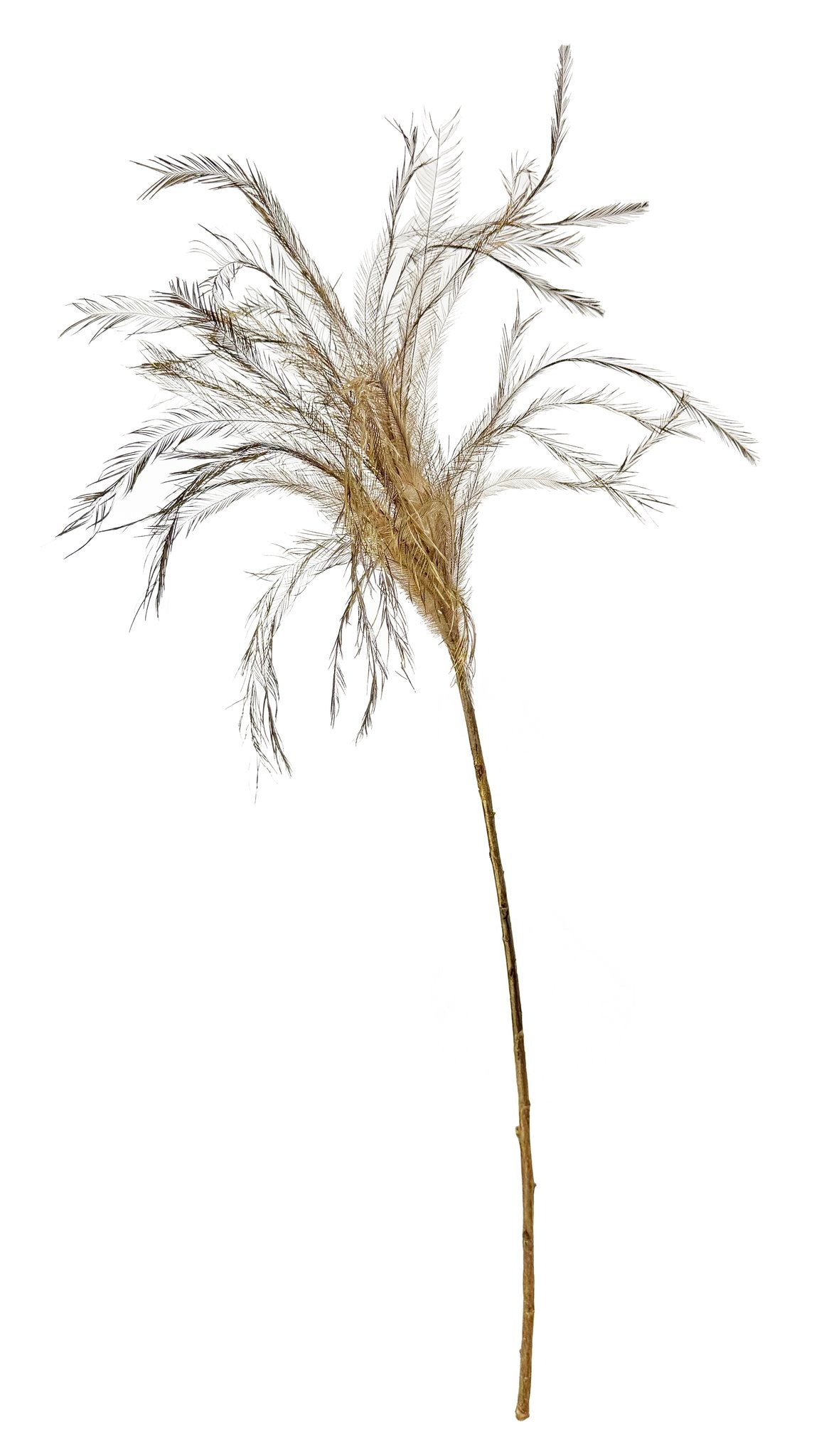 Feather branch gold 90cm