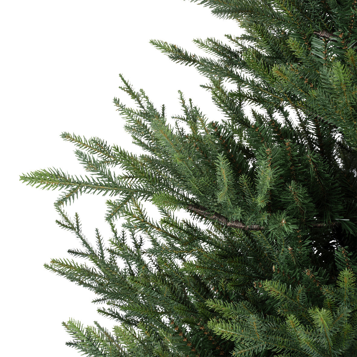Norway Spruce Green - S