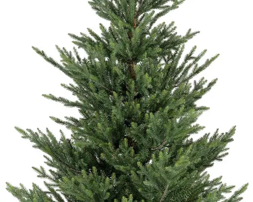 Norway Spruce - 9ft (270cm) - Artificial Tree