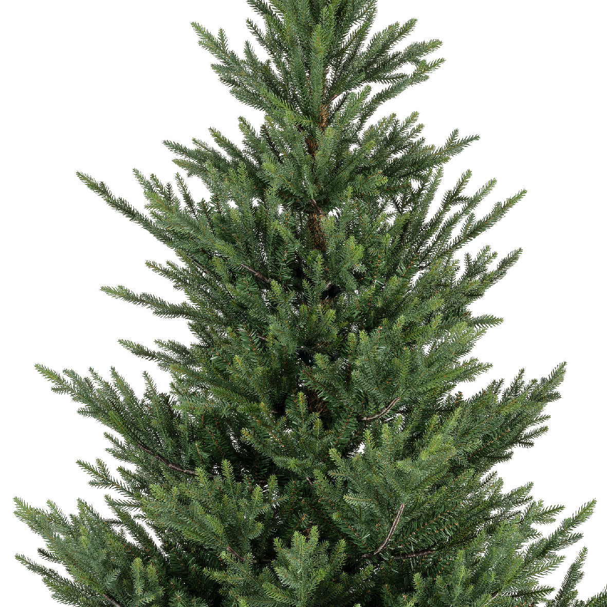 Norway Spruce Green - M