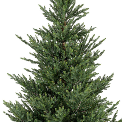 Norway Spruce Green - M