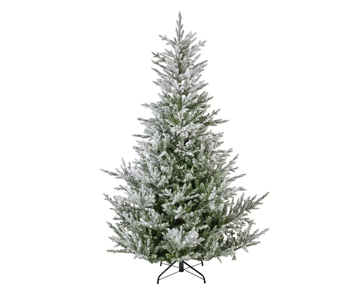Norway Spruce Snowy - Green / White 8 FT